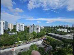 Leedon Green (D10), Condominium #530747061